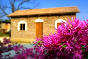 time-and-light-machine-favorites-4631